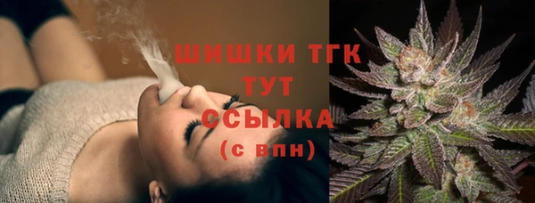 PSILOCYBIN Верея